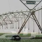 مطلبوب رشاش كهرب