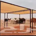 مضلات مواشي