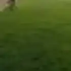 ابو سيما عمر