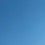 زوج موتي والا توووب محجل