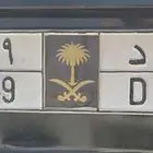 لوحه مميزه اسد