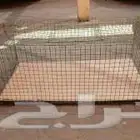مطلوب قفص في نجران با 10