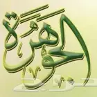 اشجار زيتون
