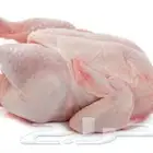 دجاج مبرد يصلك يوميا للمطاعم ومحلات الدواجن جودته عاليه