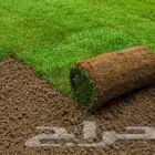 نجيلة درجة اولى مع التوصيل و التركيب