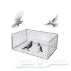 شبك فخ صيد طيور