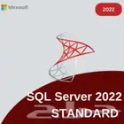2019 2022 2016 SQL server Standard