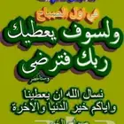 قصائد وشيلات على الطلب