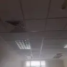 اسقف مستعارة