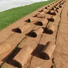 ثيل طبيعي وتنسيق حدائق