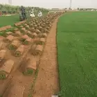 تنسيق حدائق بالرياض
