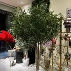 زيتون صناعي جذوع طبيعيه تفصيل حسب الطلب