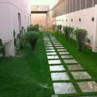 مشتل ربيع المملكة