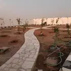 شبكات رى وتصميم حدائق