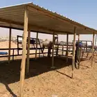مضلات ابل سهلت الفك وتركيب ذرف أبل عشش دجاج ص