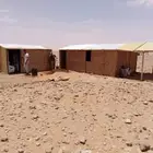 غرف خشب صنادق خشب