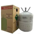 فريون أمريكي جديد 22