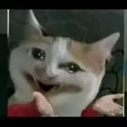 معلمه تأسيس روضه و 1 2 3