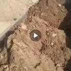 يتوفر توصيل طين زراعي و تربه زراعية بأنواعها