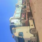 لوبد موجود في العلا