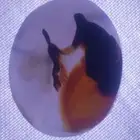 أحجار مصوره طبيعه للبيع