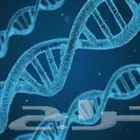 معلم مواد علمية ومتابعه للمرحلة الثانوية والمتوسطة