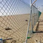 ابو عبدالله لزراعة النخيل العربي والواشطني ونقوم بتركيالأمني