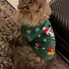 جده حي الحرازات بجوار محطه الوطن