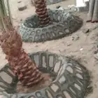 تكحيل جداران مبروز وعايدي وممرات ومرافي خميس مشيط