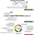 تصميم CV انفوجرافيكس عربي و انجلش مع صياغة وترجمة معتمدة