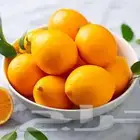 ليمون ماير