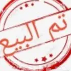 طلي مهجن سواكني على حري