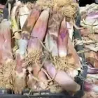 بصل حساوي حبه كبير