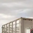 صندوق لوري دوج