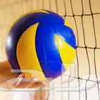 كرة الطائرة مع الشبك عرض خاص
