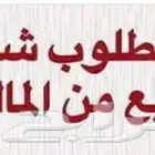 مطلوب دور او شقه للبيع