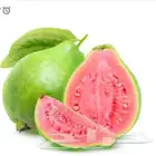 أقل الاسعار شتلات متنوعه اجعلني شريك بالاجر