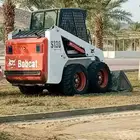 بوبكات للايجار