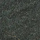 بذور ملوخية حساوية 500 جرام