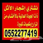 نشتري اشجار الأثل
