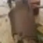 يوجد لدينا جميع لدات وشرائح بيبان لجميع السيارات