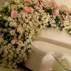 حفلات الرياض