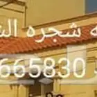 موسسه شجرة الشمال القرميد