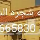 موسسسه شجرة الشمال القرميد