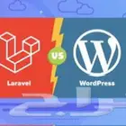 مبرمج ويب Wordpress laravel