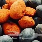 حمر جاوي فاخر من الاخر حبة كبيرة طازجة