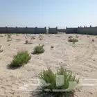 اسطبل