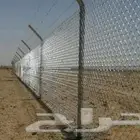 مقول شبوك ونخيل
