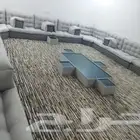 مجالس وبيوت شعر شعبية