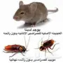 شركة تنظيف شقق فلل غسيل كنب فرشات رش مبيدات 